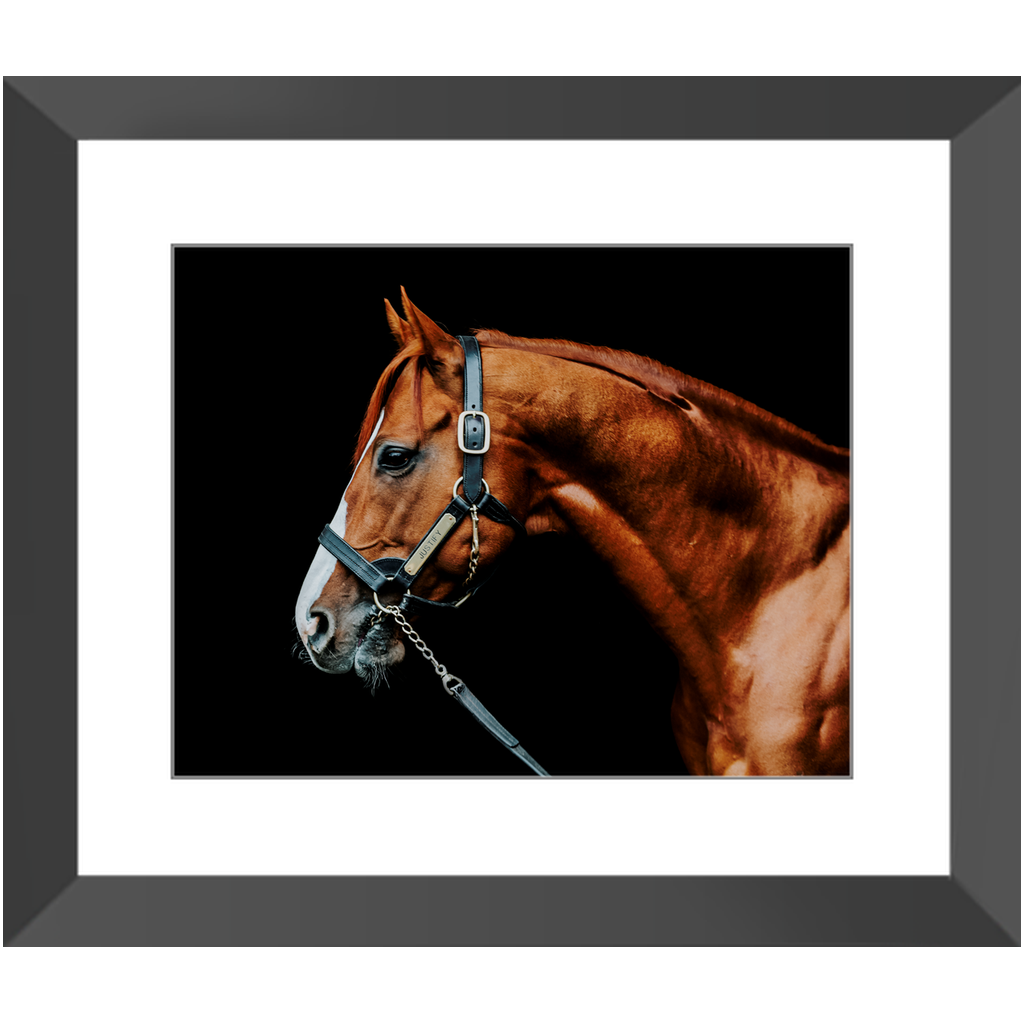 Justify Series 3, Framed Print
