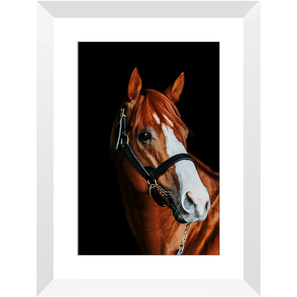 Justify Series 2, Framed Print