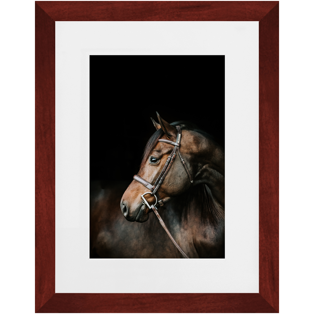 Jovial Series 3, Framed Print
