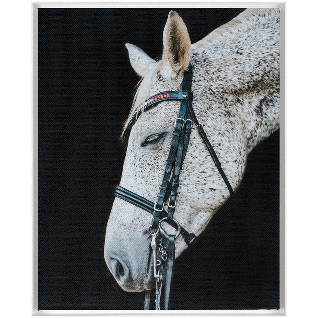 Apollo Series 1, Framed Canvas