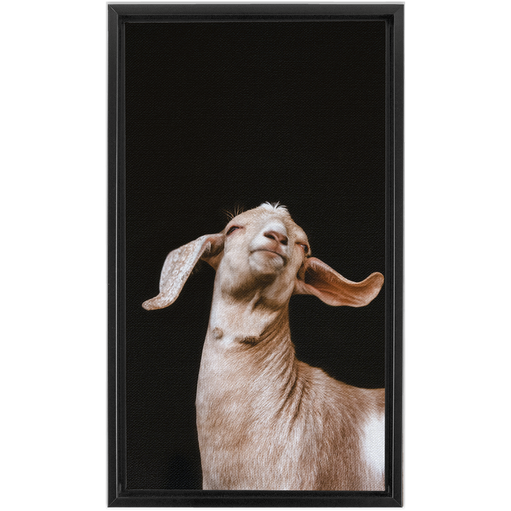 Happy Goat Series 1, Framed Canvas