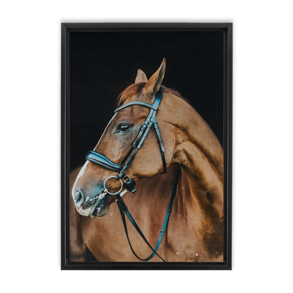 Hudson Series 6, Framed Canvas
