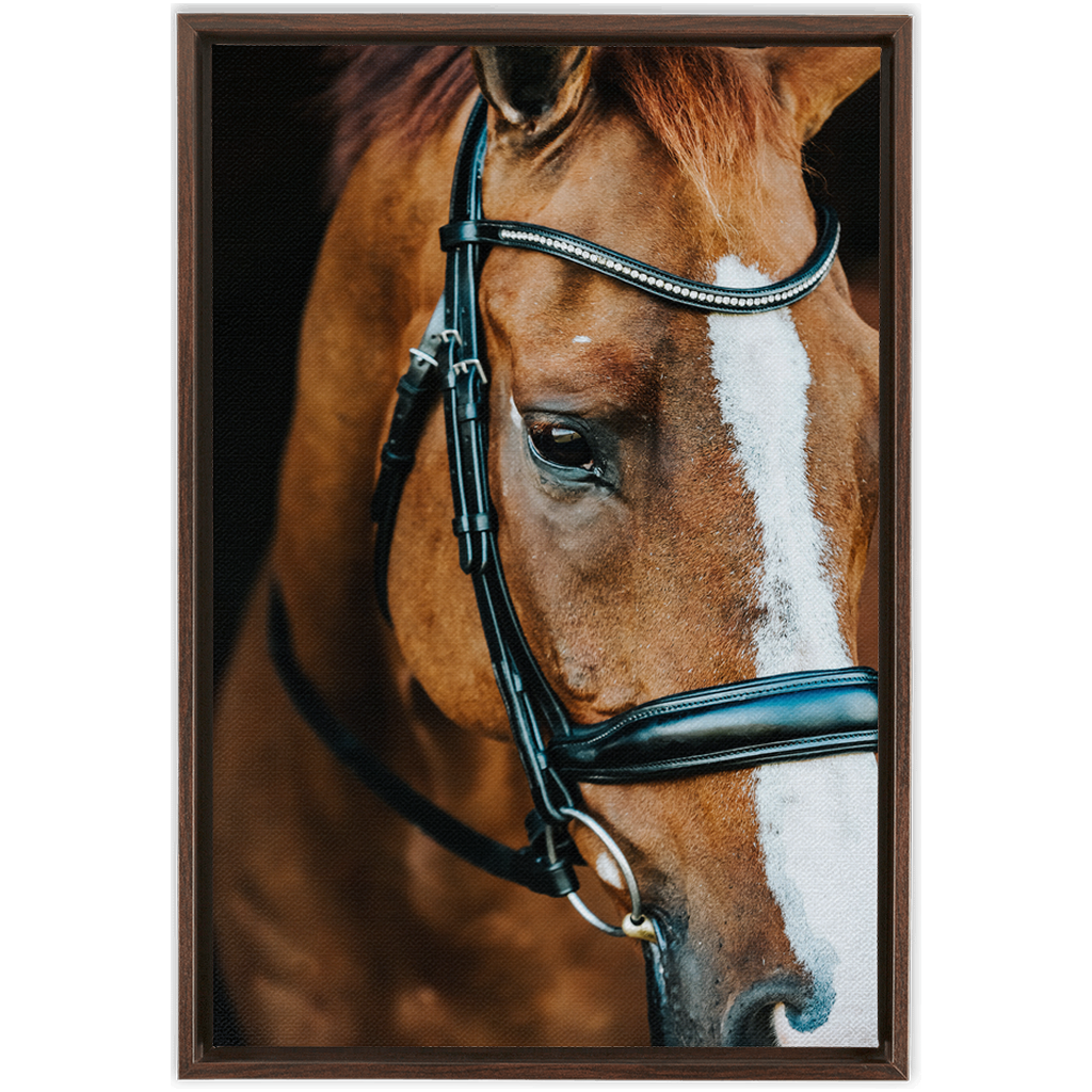 Hudson Series 3, Framed Canvas
