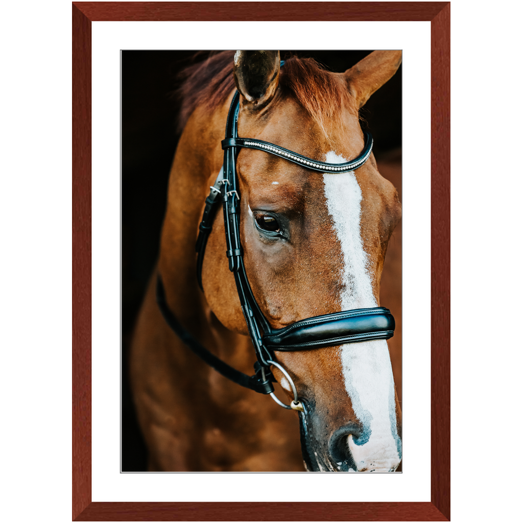 Hudson Series 3, Framed Print