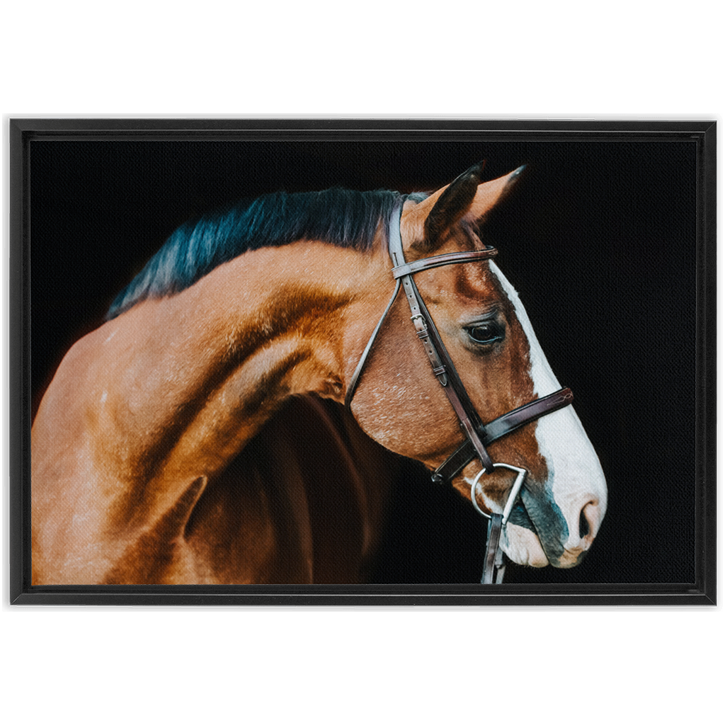 Huntsman Series 3, Framed Canvas