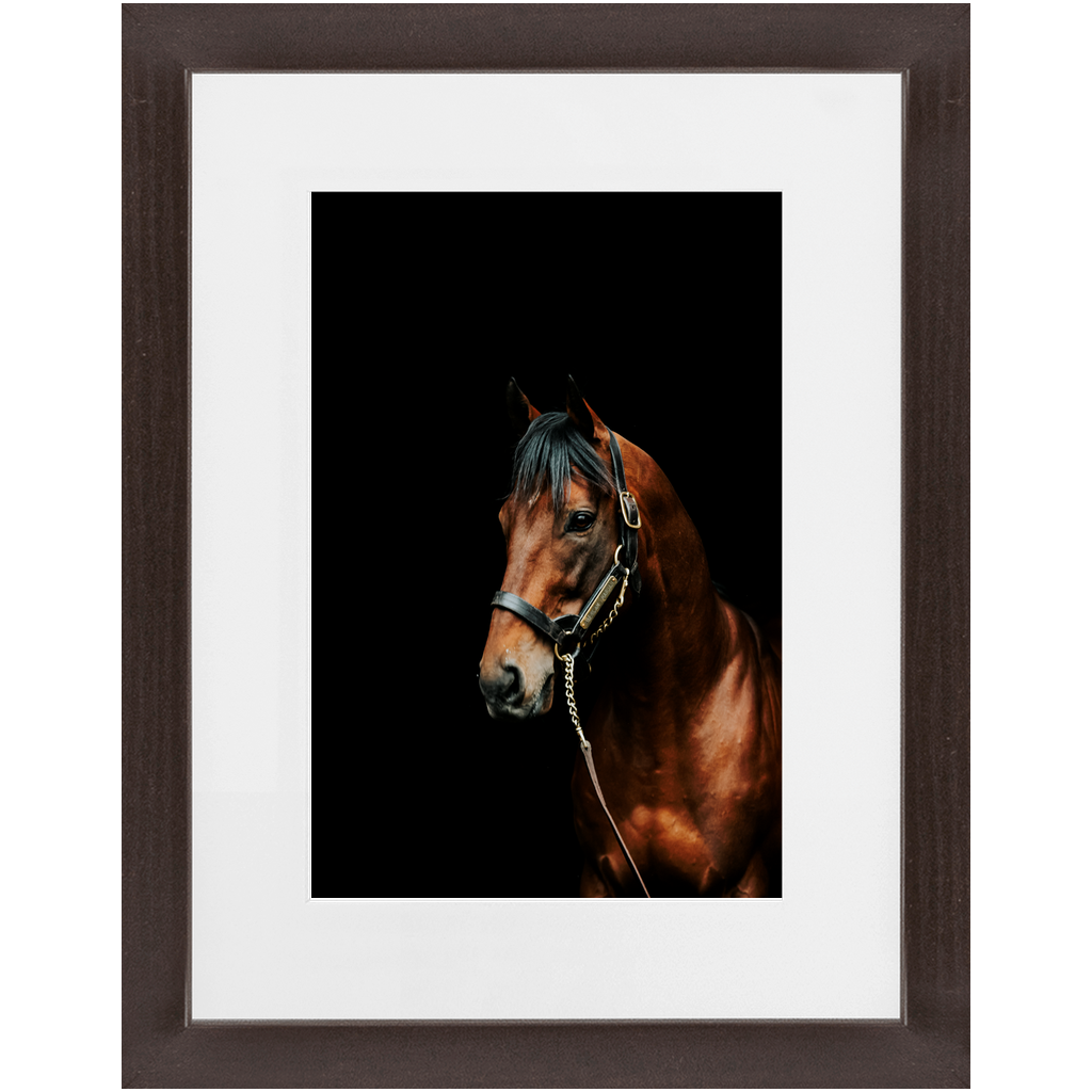 American Pharoah Series 2, Framed Prints