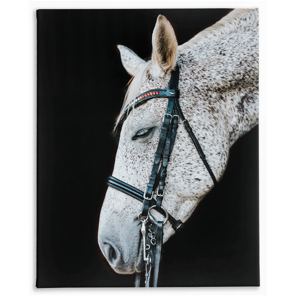 Apollos Series 2, Stretched Canvas