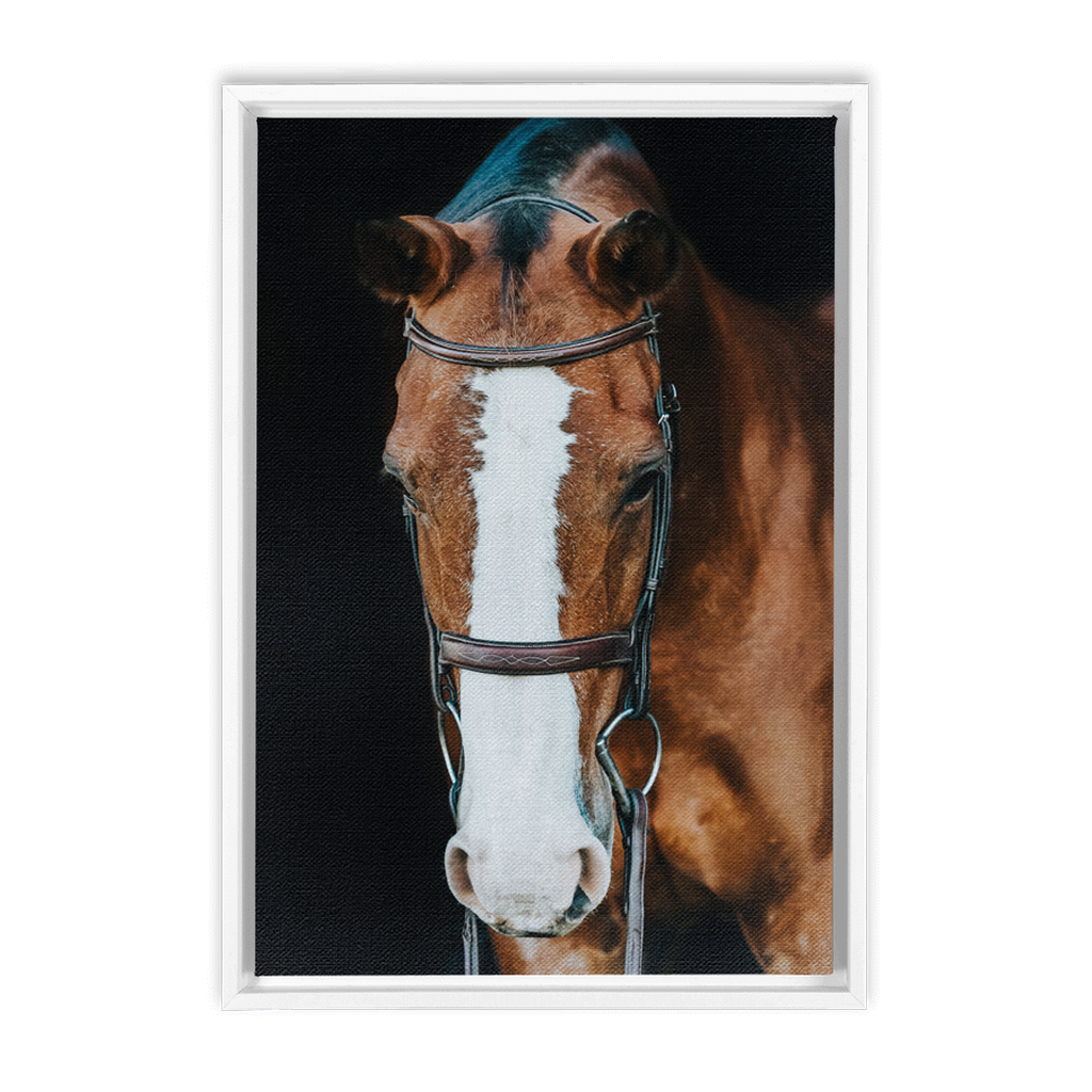 Huntsman Series 6, Framed Canvas
