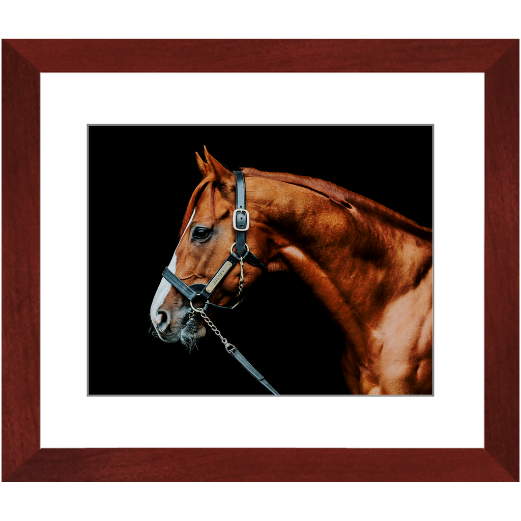 Justify Series 3, Framed Print