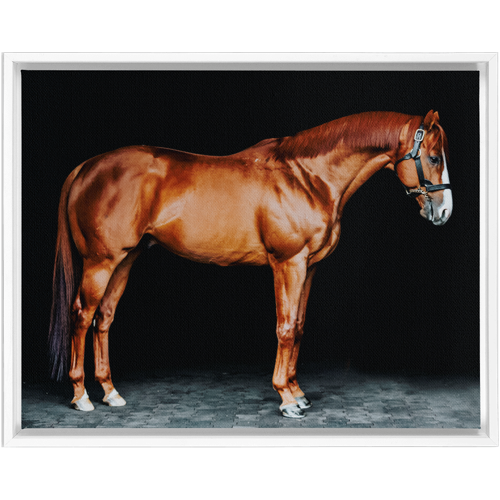 Justify Series 6, Framed Canvas