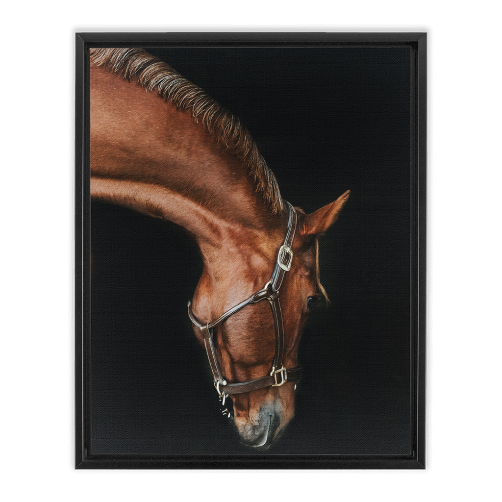 Django Series 6, Framed Canvas