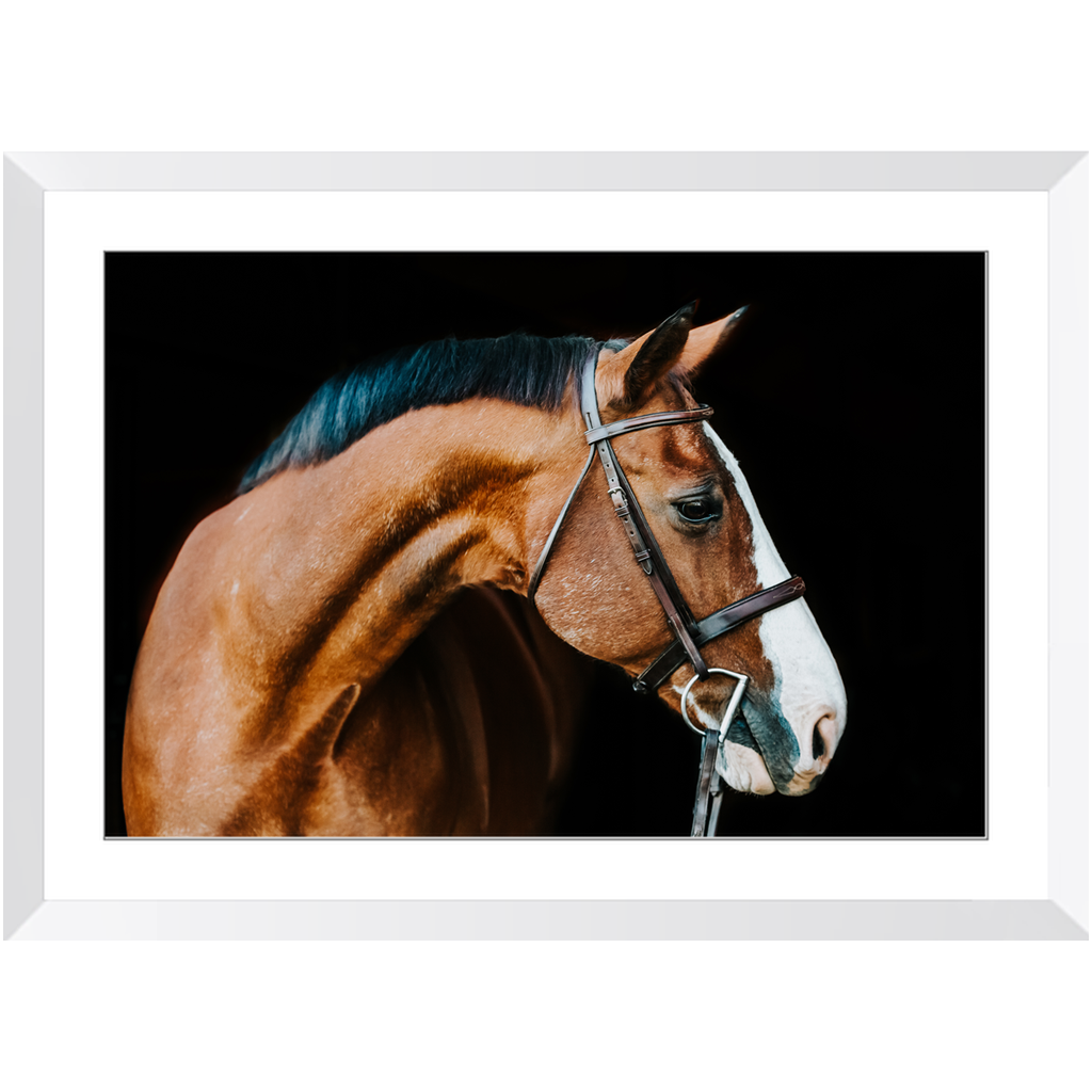 Huntsman Series 3, Framed Print