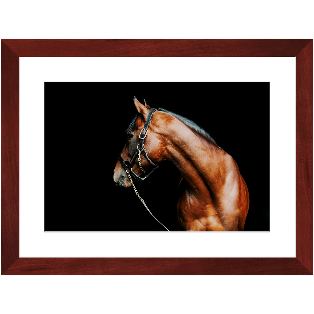 American Pharoah Series 5, Framed Print