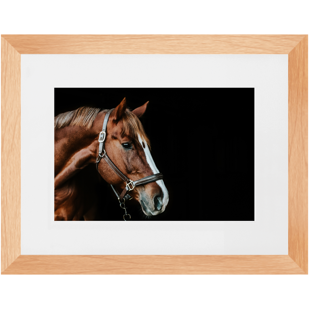 Django Series 5, Framed Print