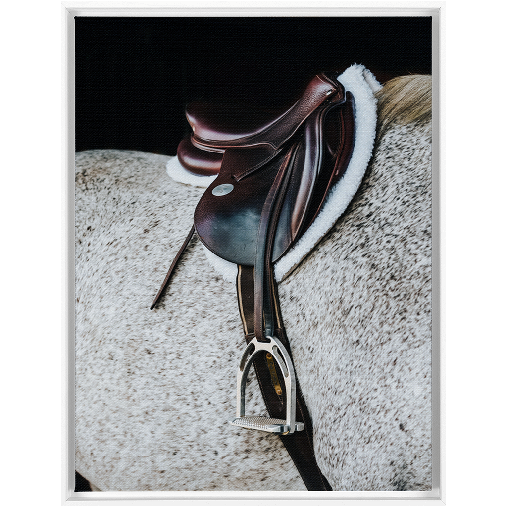 Apollo Series 3, Framed Canvas