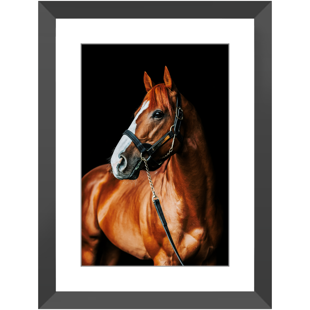 Justify Series 1, Framed Print