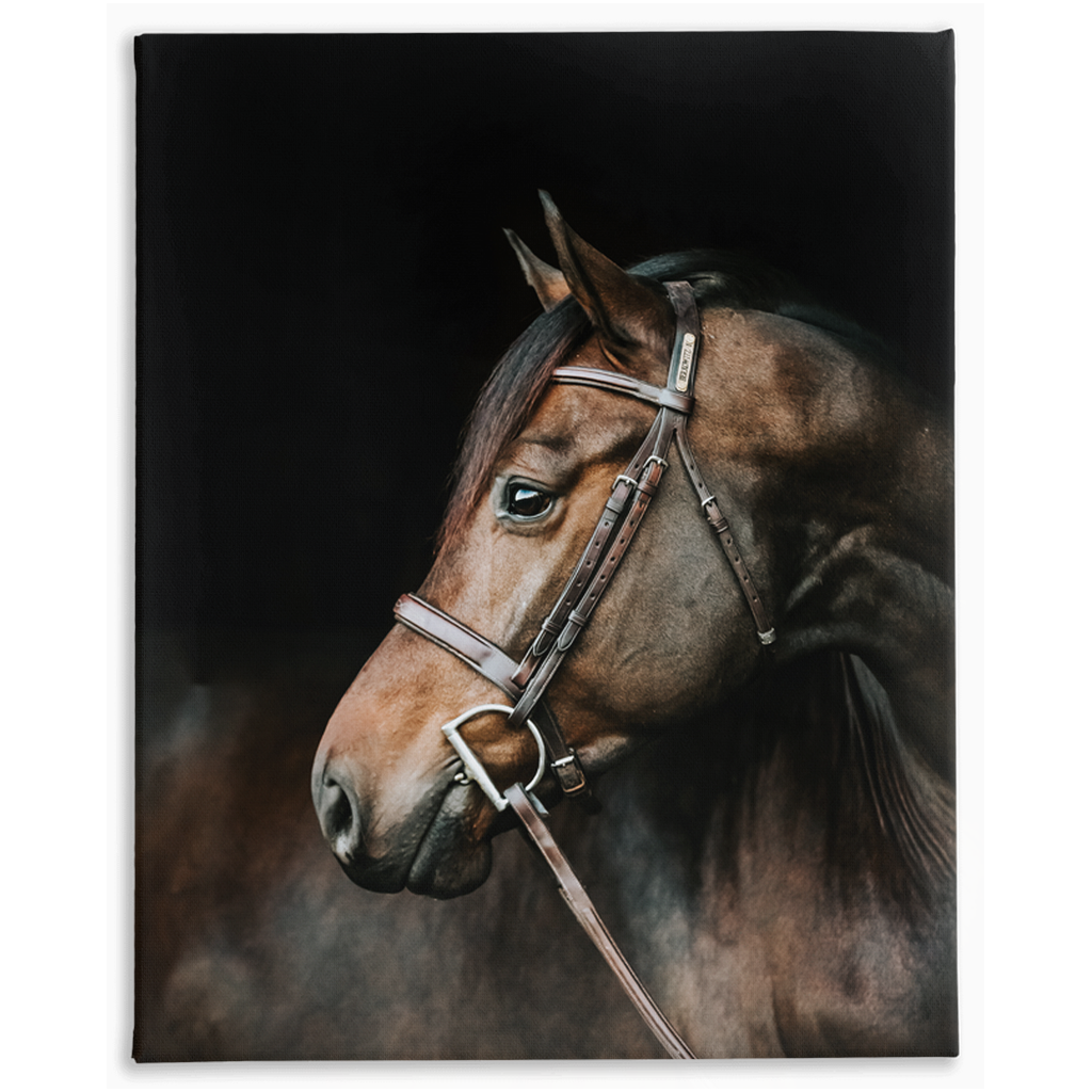 Jovial Series 3, Stretched Canvas