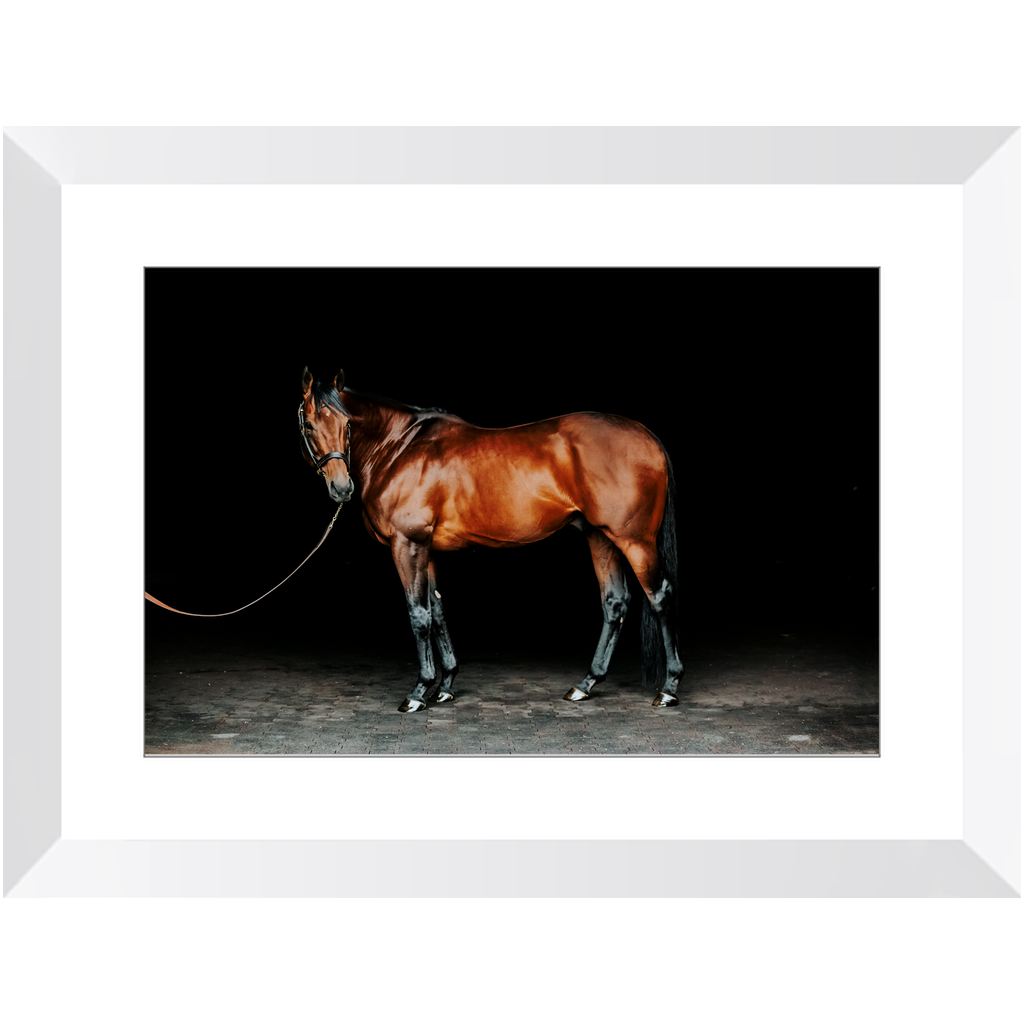 American Pharoah Series 1, Framed Print