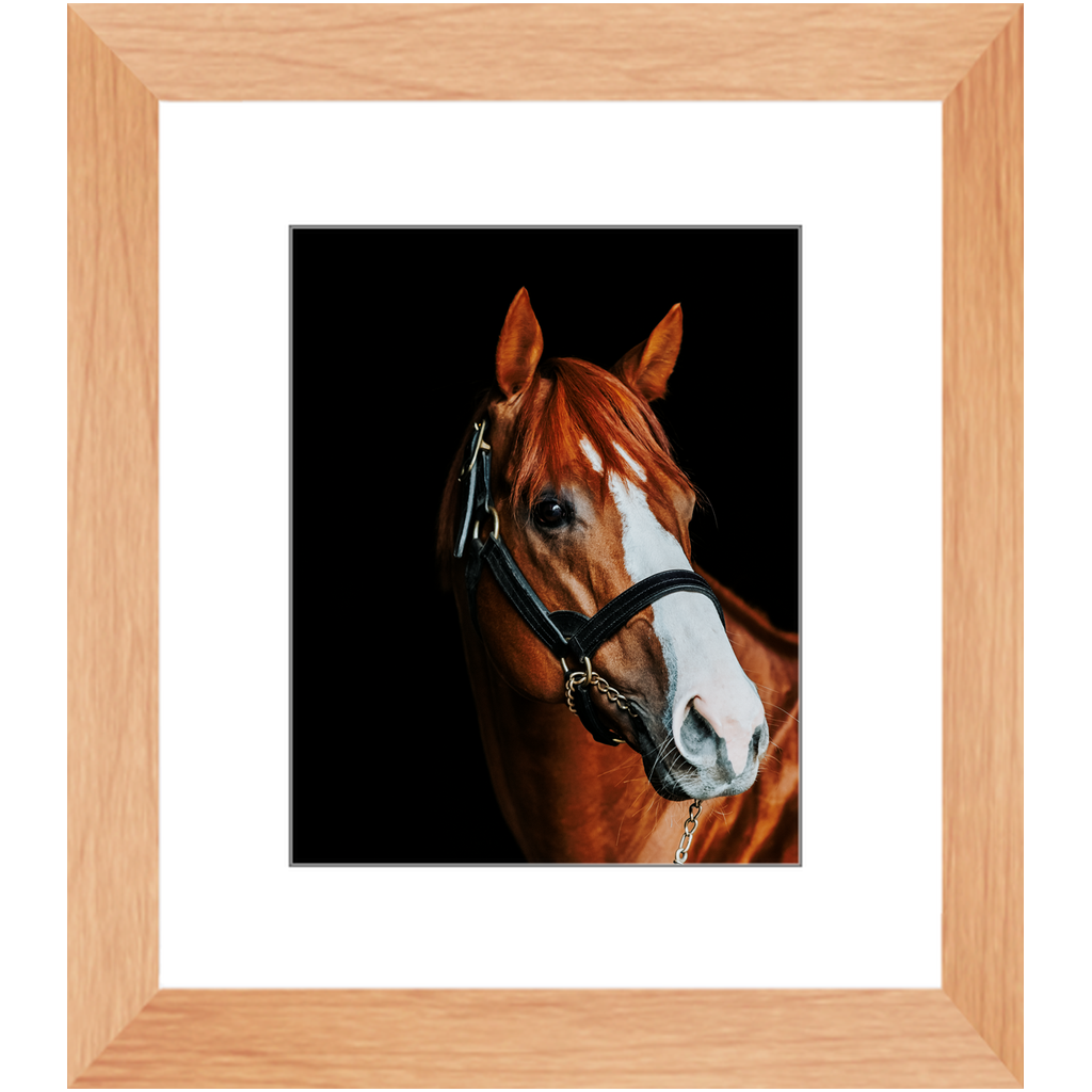 Justify Series 2, Framed Print