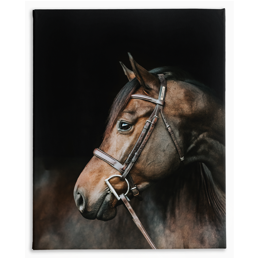 Jovial Series 3, Stretched Canvas