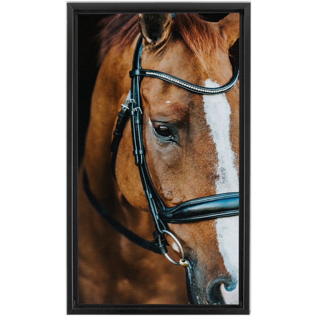 Hudson Series 3, Framed Canvas