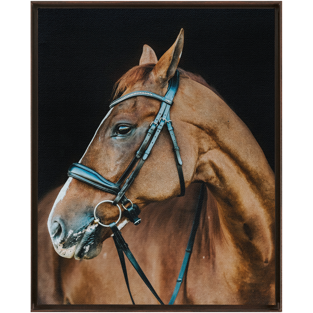 Hudson Series 6, Framed Canvas
