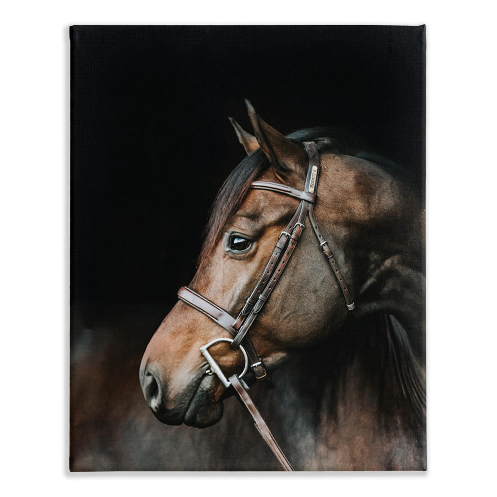 Jovial Series 3, Stretched Canvas