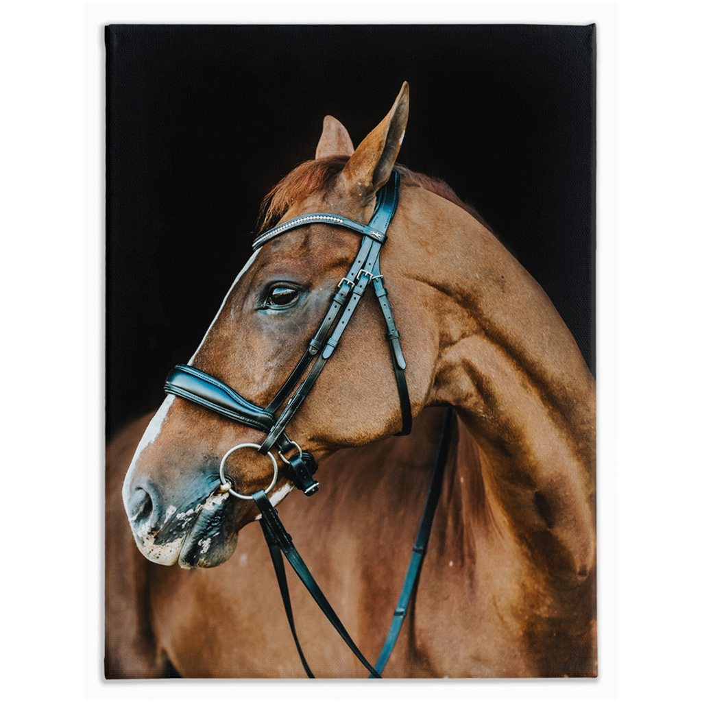 Hudson Series 6, Stretched Canvas