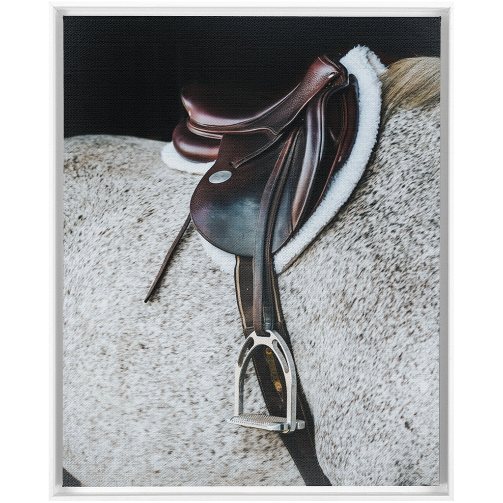 Apollo Series 3, Framed Canvas
