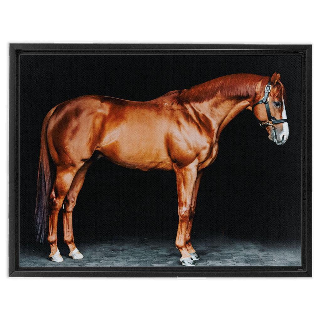 Justify Series 6, Framed Canvas
