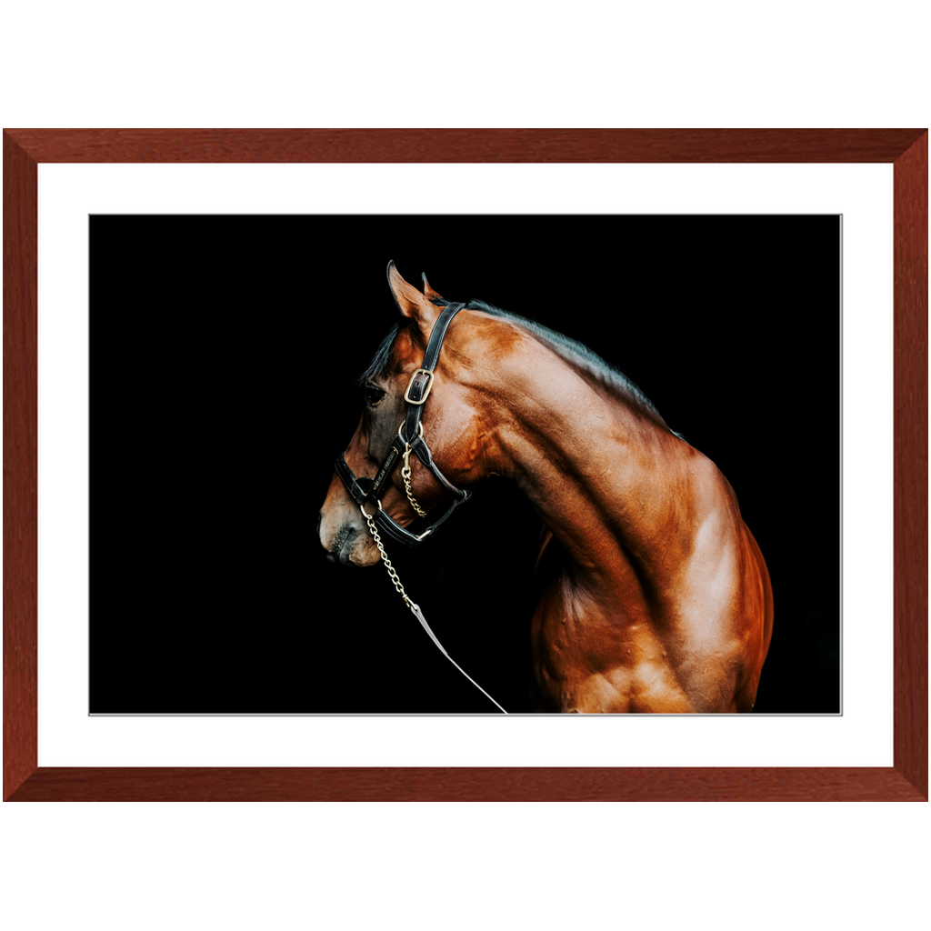 American Pharoah Series 5, Framed Print