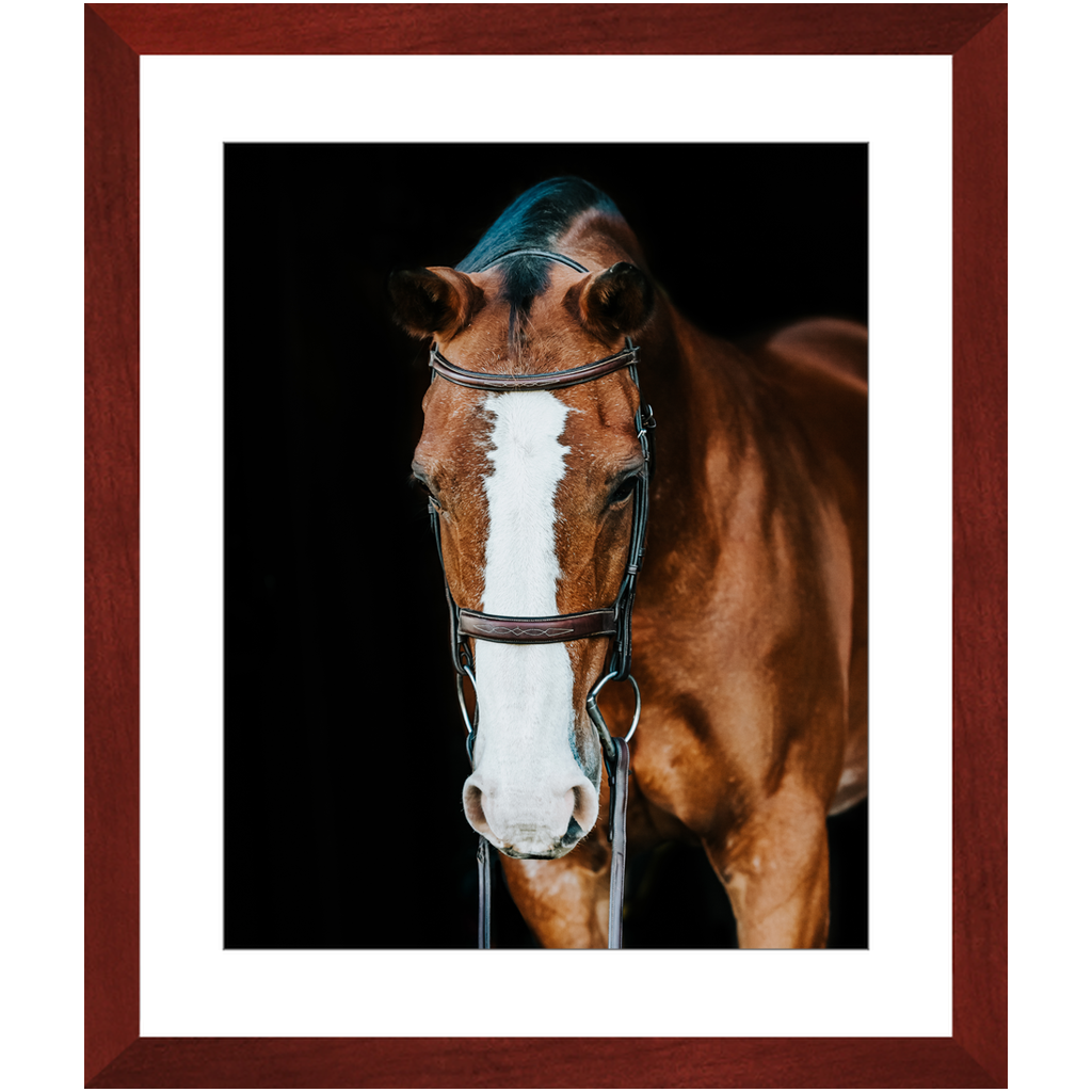 Huntsman Series 6, Framed Print