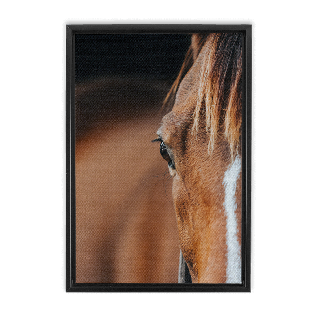Majestic 1, Framed Canvas