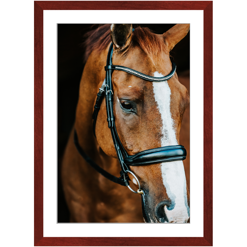 Hudson Series 3, Framed Print