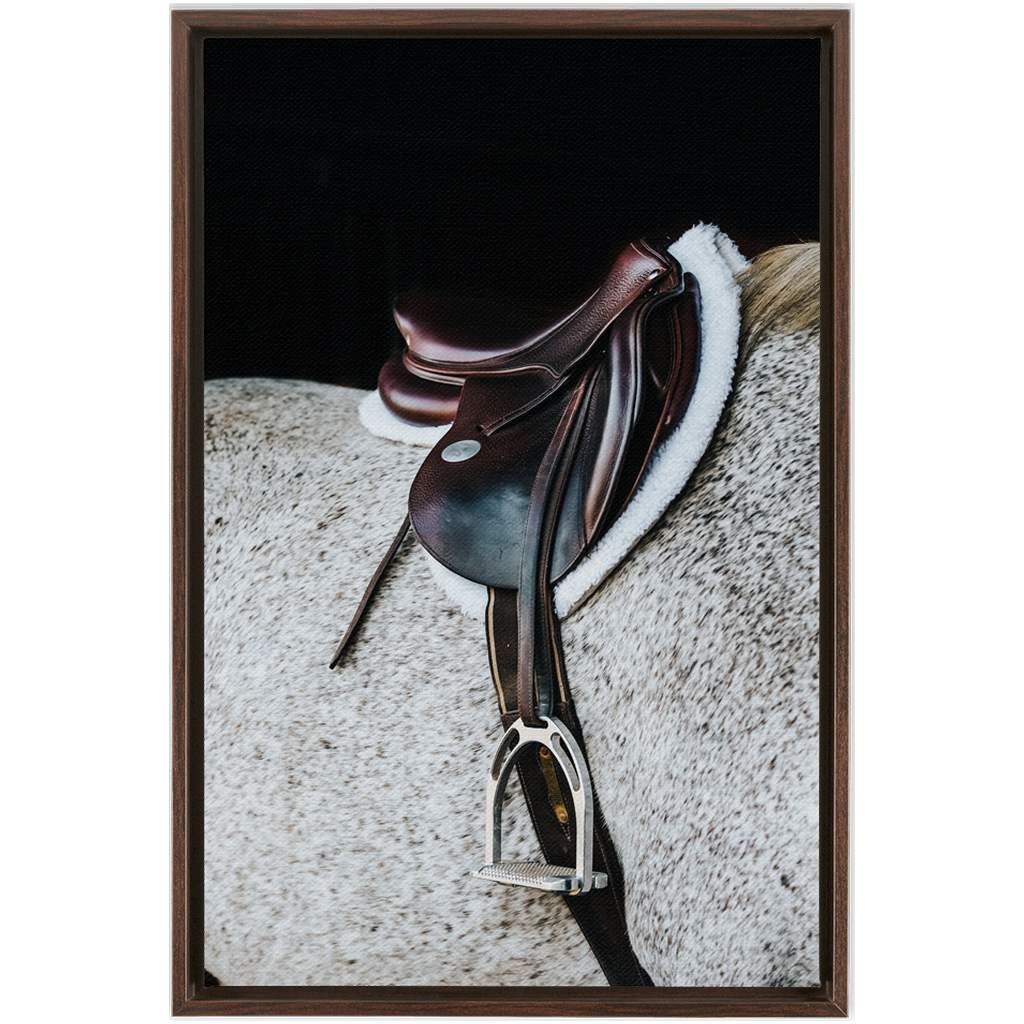 Apollo Series 3, Framed Canvas