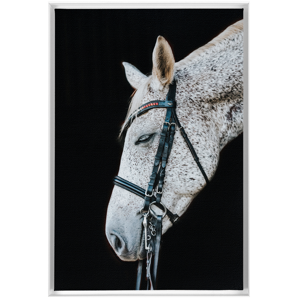 Apollo Series 1, Framed Canvas