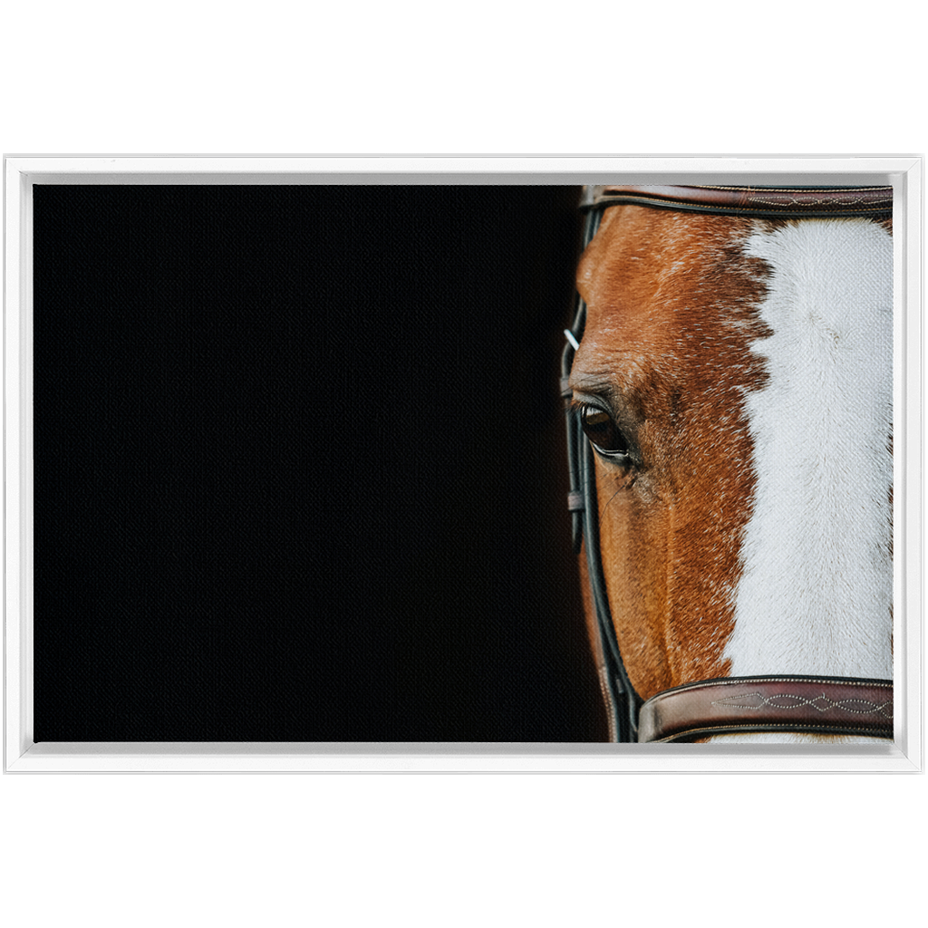 Huntsman Series 5, Framed Canvas