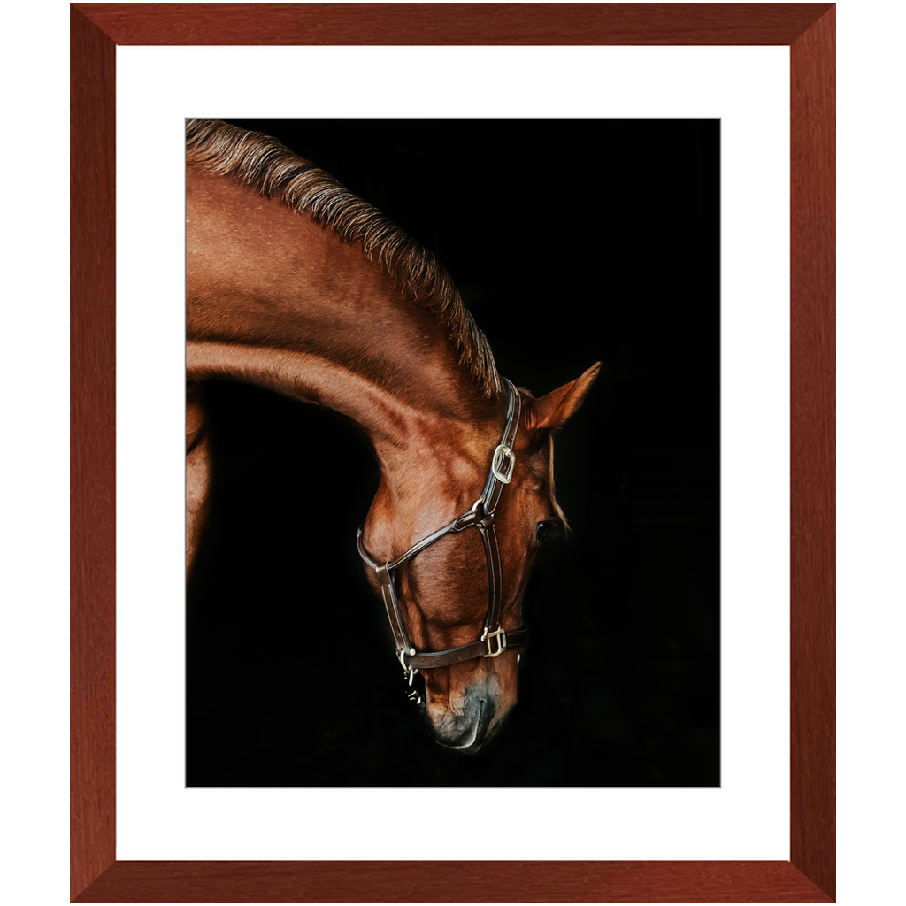 Django Series 6, Framed Print