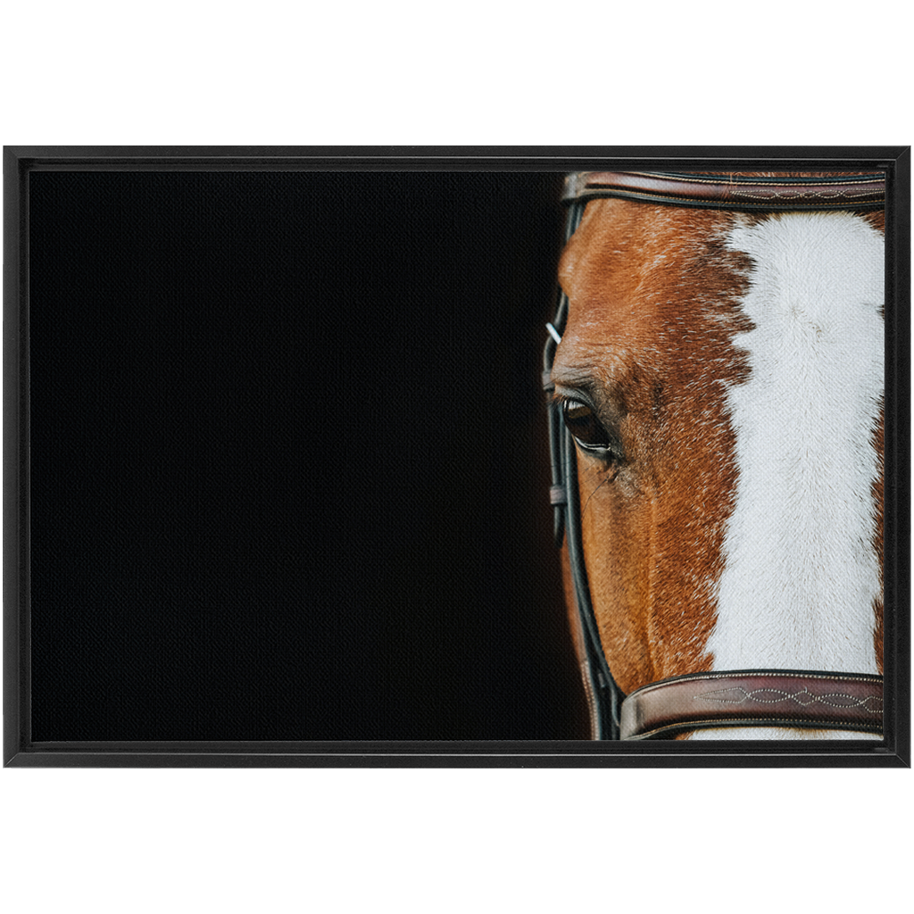 Huntsman Series 5, Framed Canvas