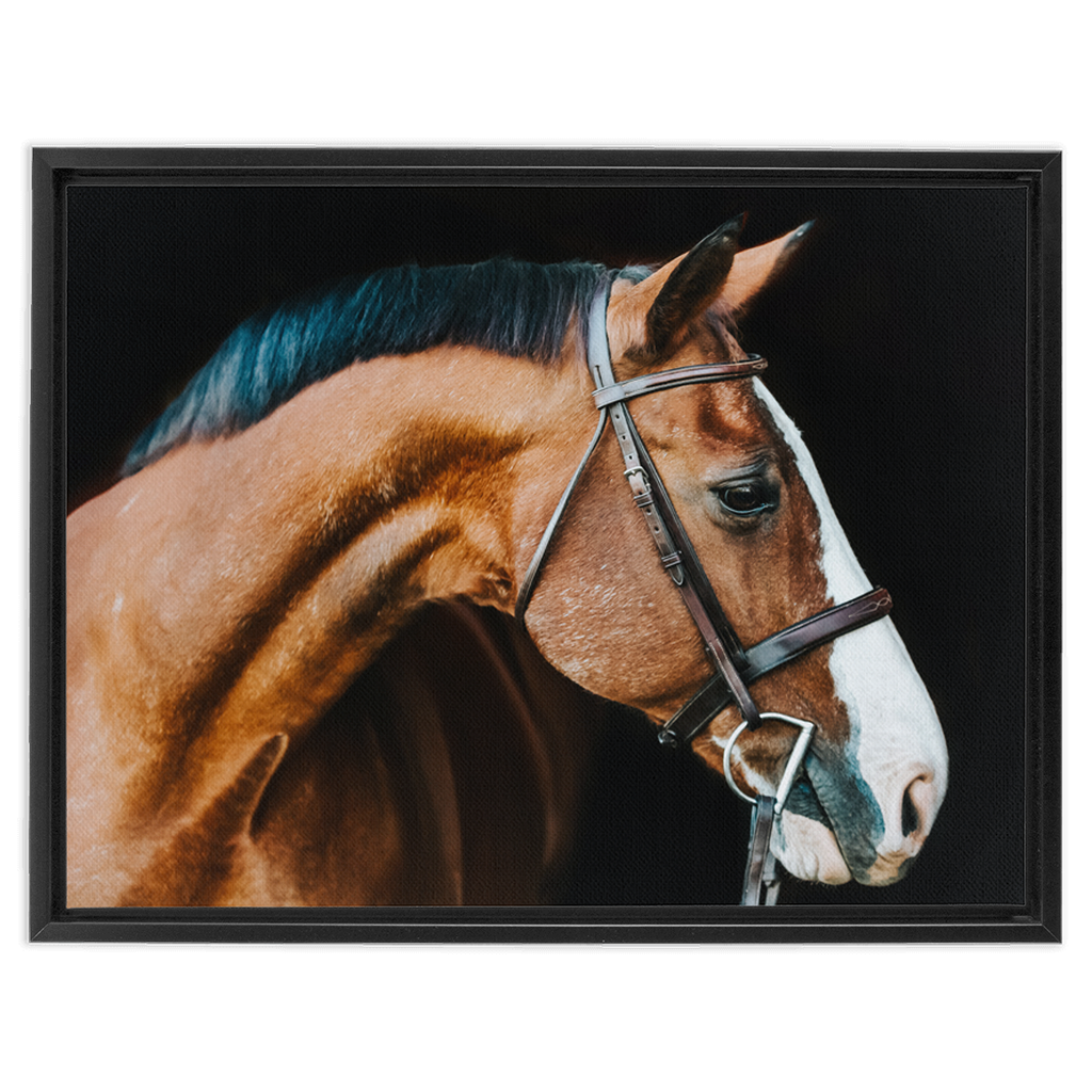 Huntsman Series 3, Framed Canvas