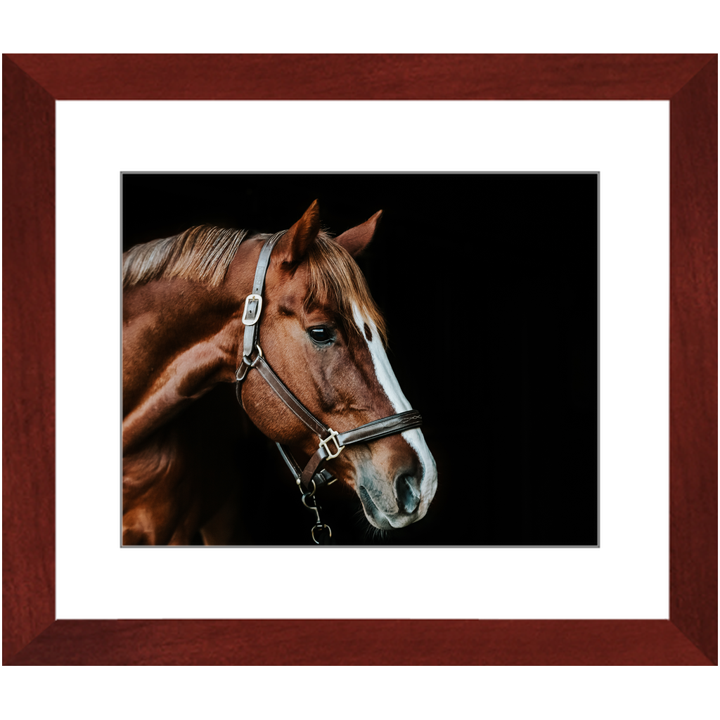 Django Series 5, Framed Print