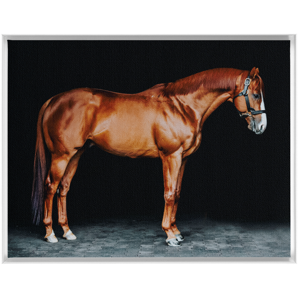 Justify Series 6, Framed Canvas