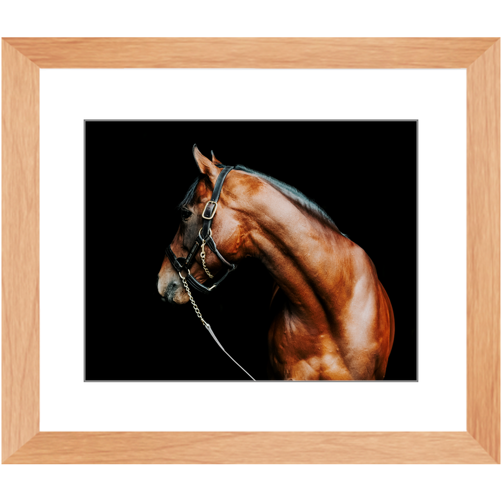 American Pharoah Series 5, Framed Print