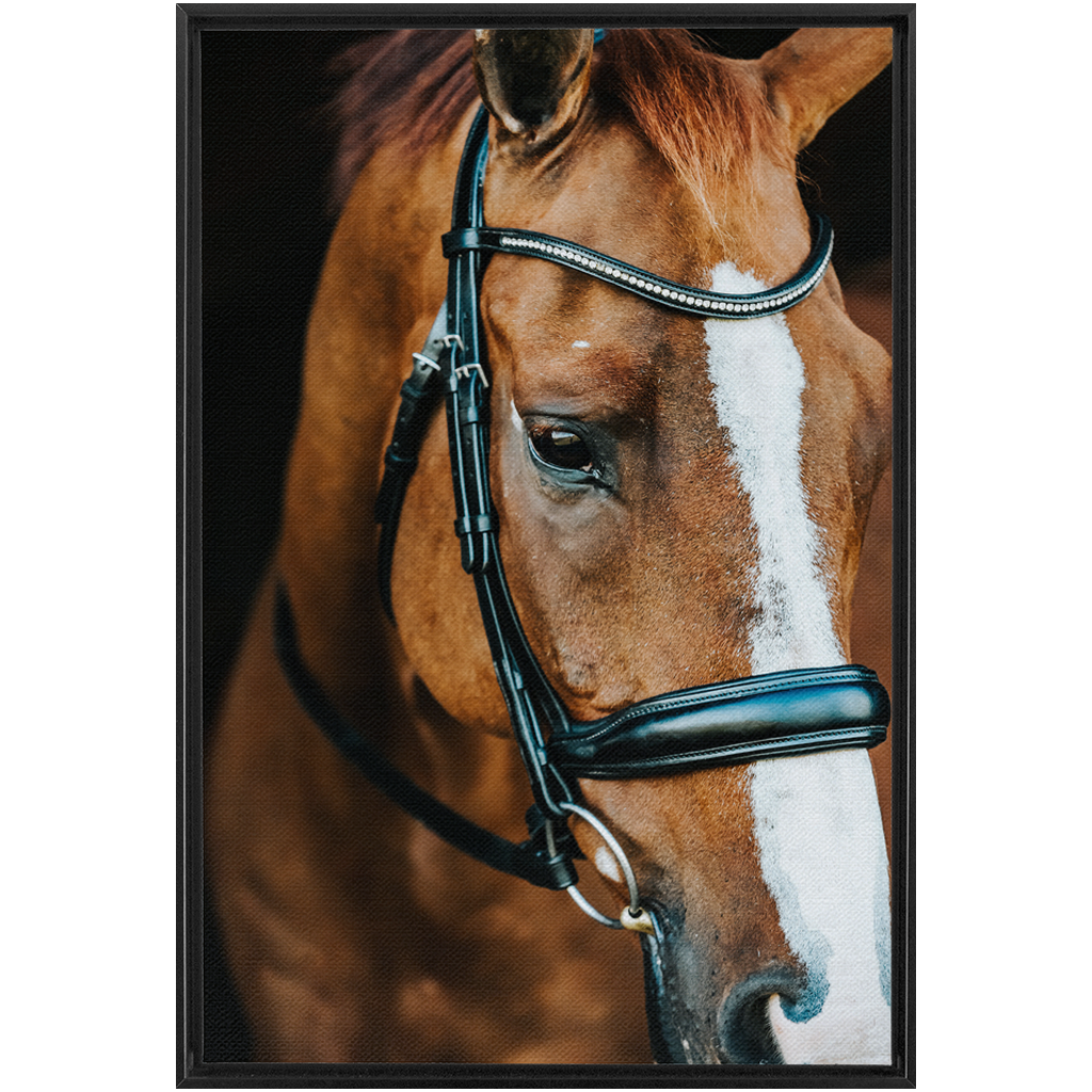 Hudson Series 3, Framed Canvas
