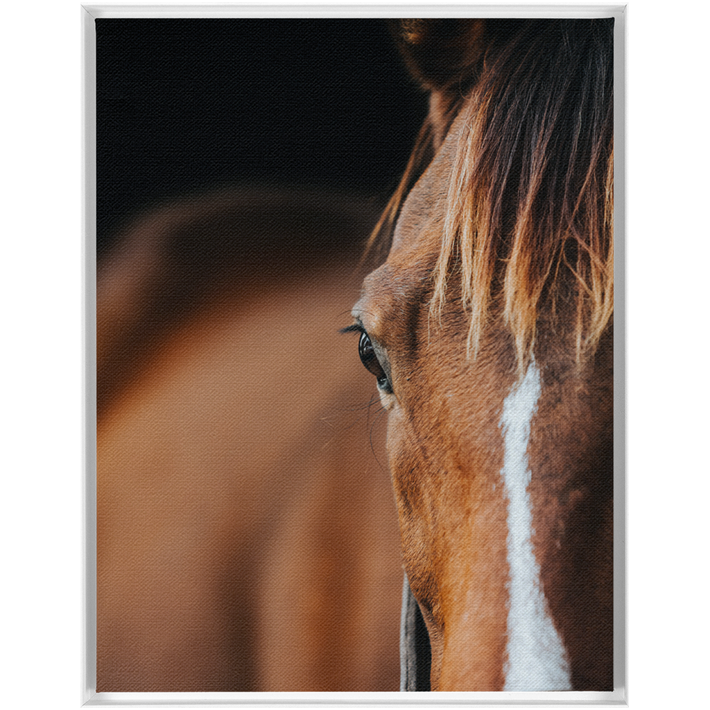 Majestic 1, Framed Canvas