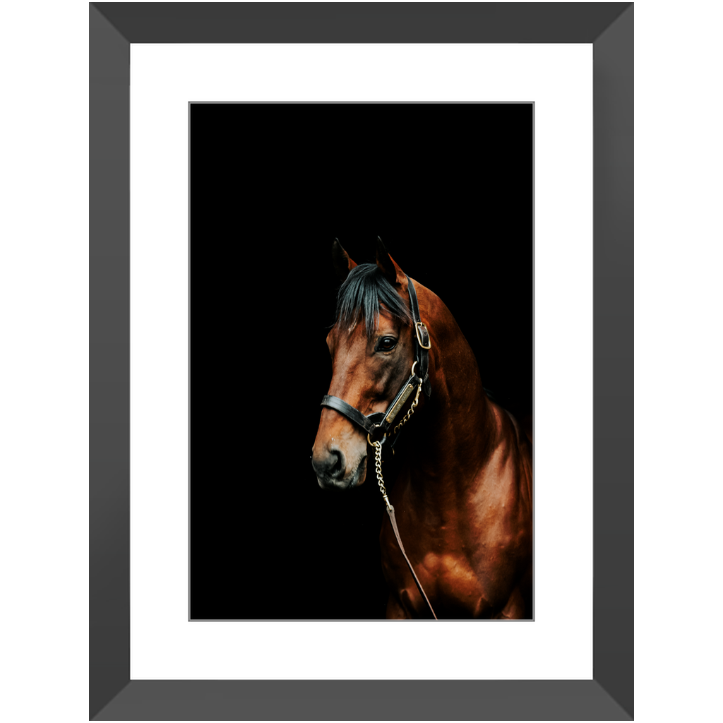 American Pharoah Series 2, Framed Prints