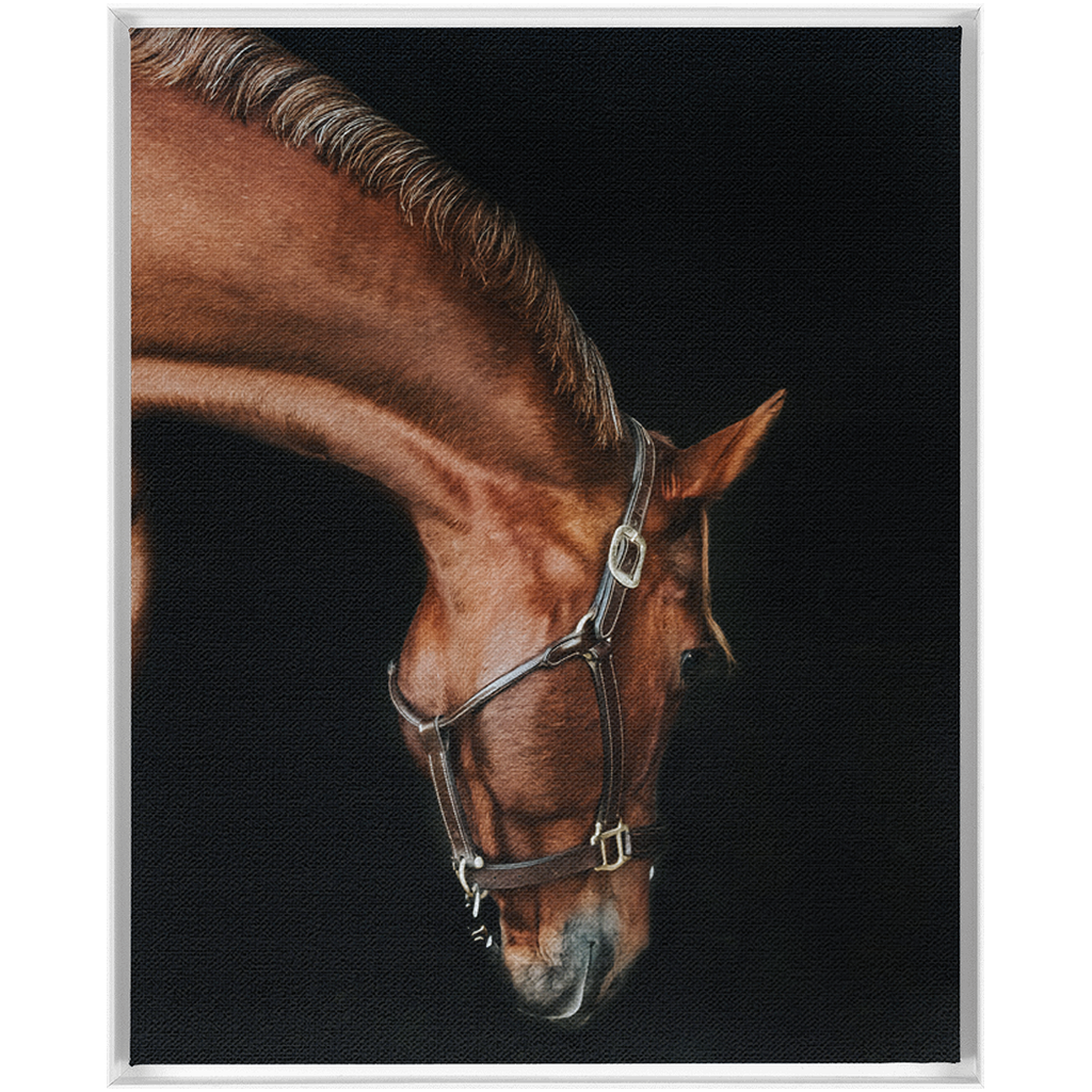 Django Series 6, Framed Canvas