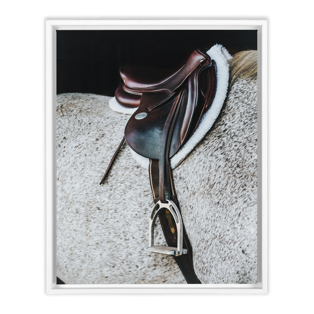 Apollo Series 3, Framed Canvas