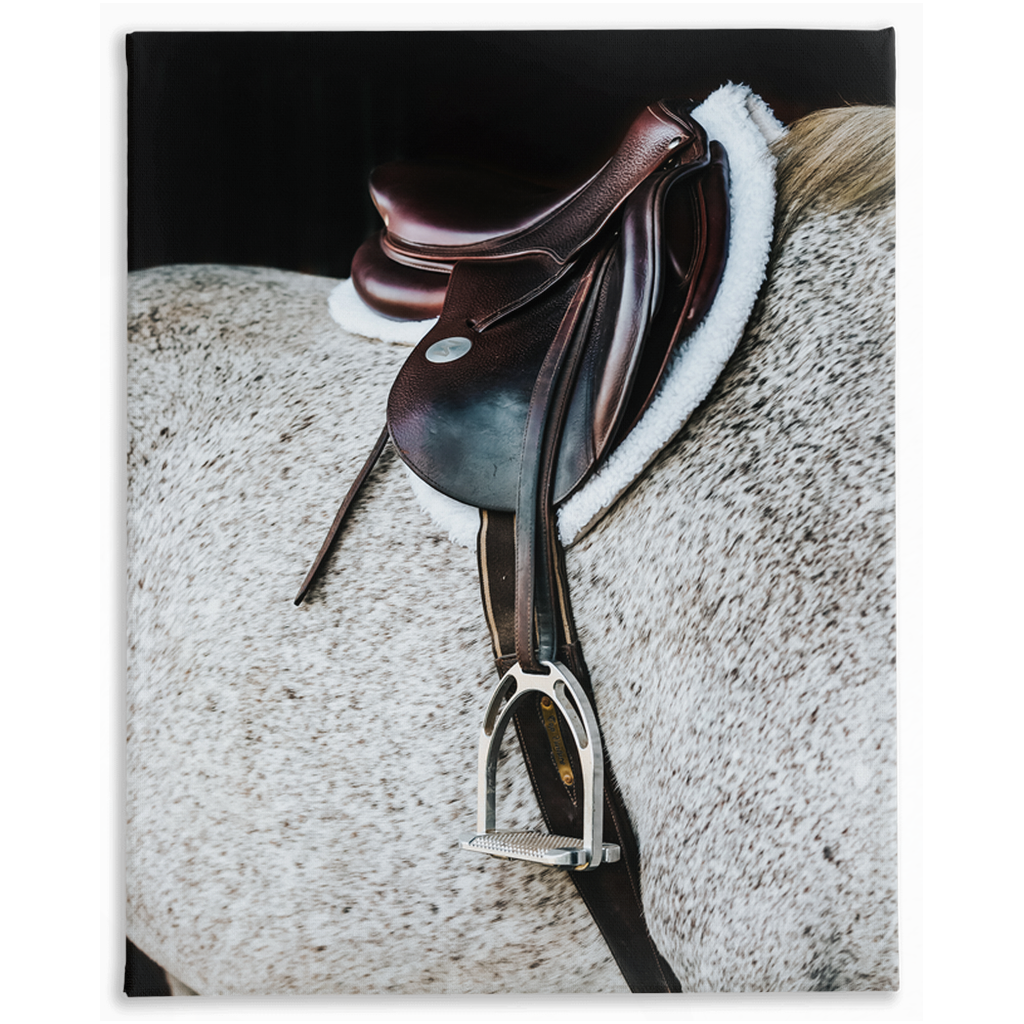 Apollo Series 3, Stretched Canvas