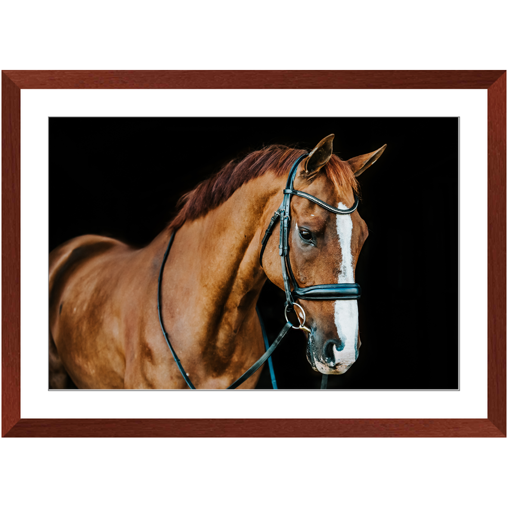 Hudson Series 1, Framed Print
